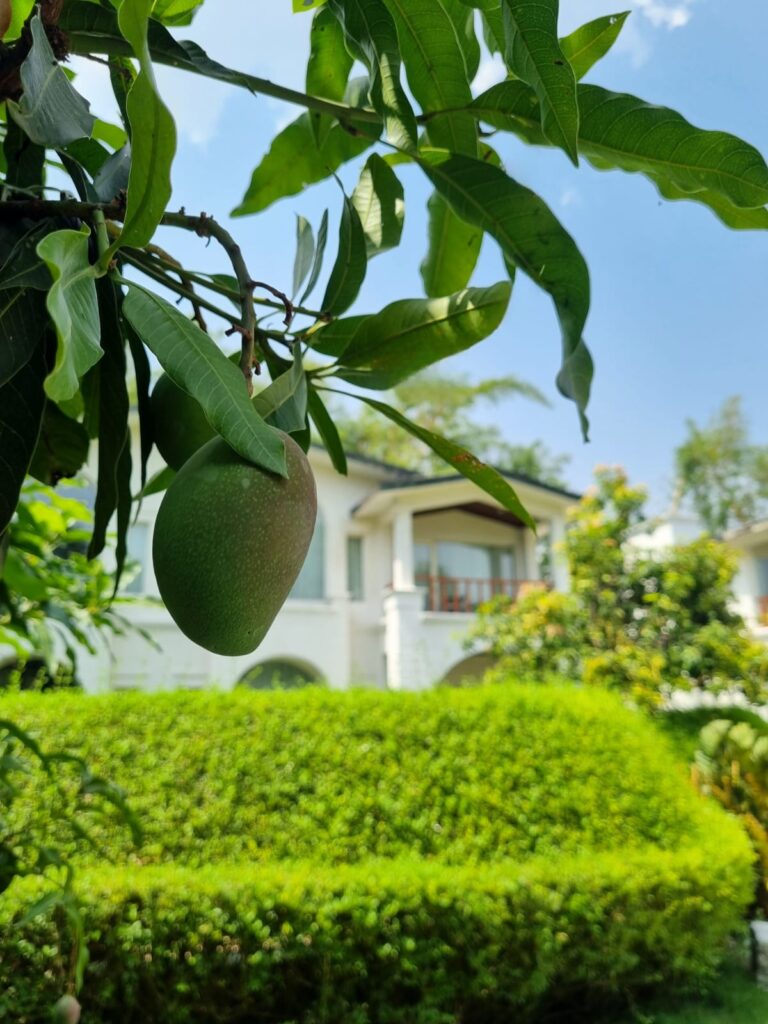 Outside Area